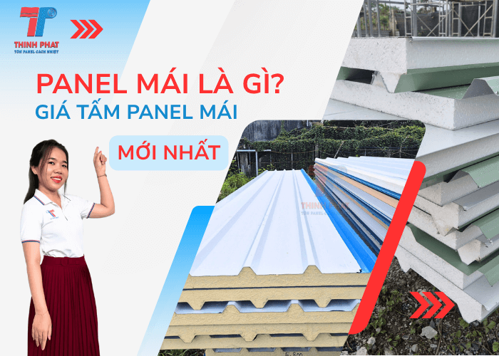 Panel Mái Là Gì? Giá Tấm Panel Mái Mới Nhất 2025