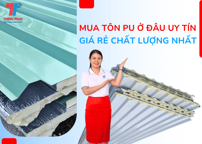 Mua Tôn PU Ở Đâu Uy Tín, Giá Rẻ Nhất Hiện Nay? Kinh Nghiệm Chọn Nhà Cung Cấp 