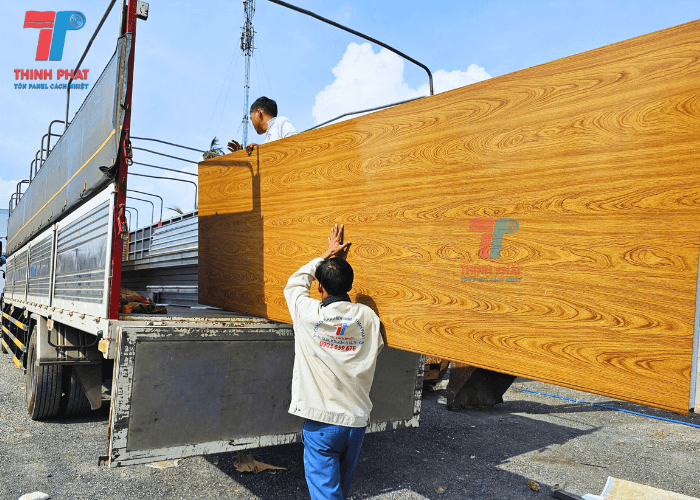 panel-van-go-10
